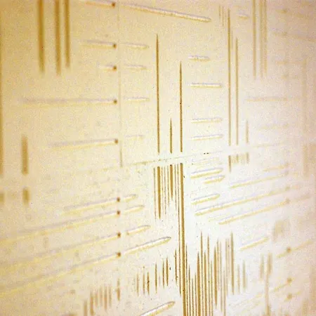 Arizona Sarajevo 3* Lukavica