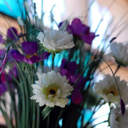 Arizona Sarajevo Alojamento de Acomodação e Pequeno-almoço 3*